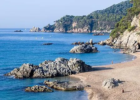 Al01 Estudio 250 M De Playa De Fenals, Costa Brava